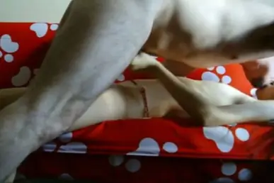 Live ABG Bispak Hotel Bintang Lima Menggoda Lagi