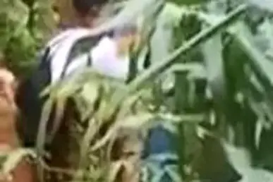 Ngintip Abg Di Kebun Singkong